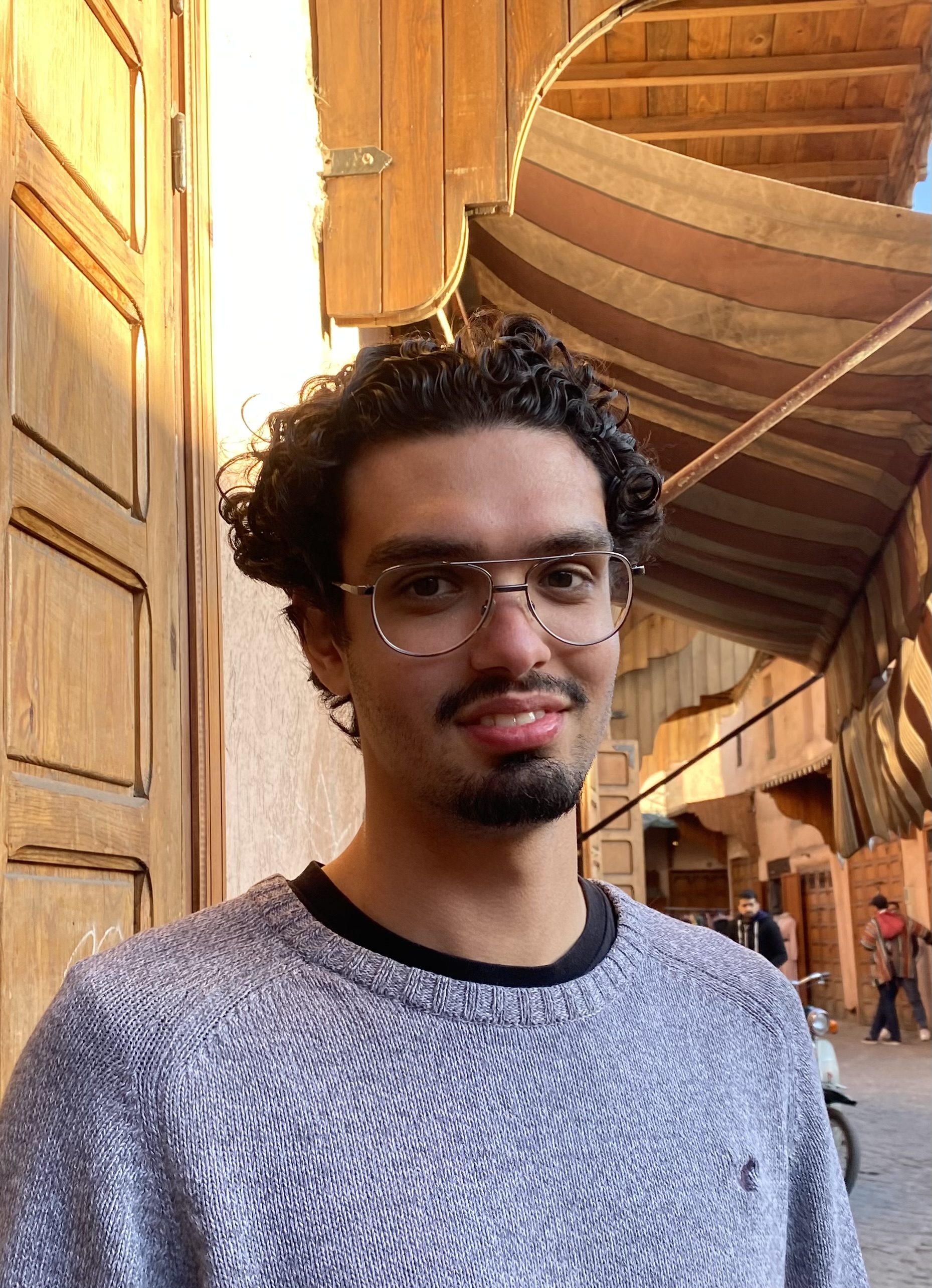 Vinicius Dos Anjos Coelho - Founder of SealAI, business automation consultant